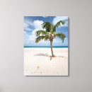 Pesquisar por caribe impressão de canvas Aruba