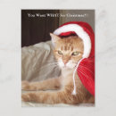 Pesquisar por grumpy cat cartoes Funny