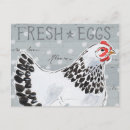 Pesquisar por ovos frescos cartoes postais Animais