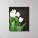 Pesquisar por tulipa branca impressão de canvas Qualquer pessoa
