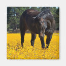 Pesquisar por olhos amarelos imas Flores amarelas