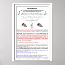 Pesquisar por o bom samaritano pôsteres pósteres Para todos