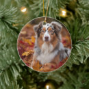 Pesquisar por australianos do pastor ornamentos Qualquer pessoa