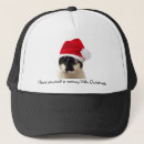 Pesquisar por cumprimento bones Xmas
