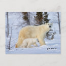Pesquisar por tundra cartoes Inverno