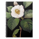 Pesquisar por pierre joseph cadernos de notas Ilustração da flor