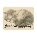 Pesquisar por napping Para todos