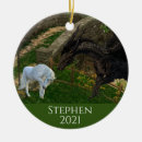 Pesquisar por dragão ornamentos Fantasia