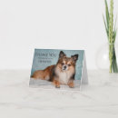 Pesquisar por appreciation cartoes Cat