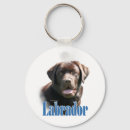 Pesquisar por chocolates chaveiros Labrador
