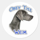 Pesquisar por do weimaraner adesivos Cão