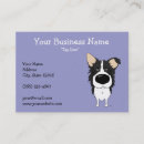 Pesquisar por collies beira de cartao de visita Cães