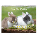 Pesquisar por calendário do coelho calendarios Animal
