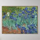 Pesquisar por flores van gogh pôsteres pósteres Obra prima