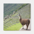 Pesquisar por picchu machu imas Fotografia