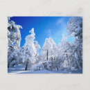 Pesquisar por talbot cartoes postais Brilhante