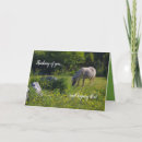 Pesquisar por rural cartoes Equestre
