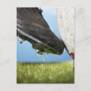 Pesquisar por pé humano cartoes postais Parte do corpo humano