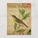 Pesquisar por vintage bird cartoes postais Francês