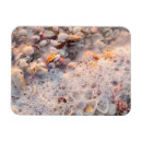 Pesquisar por fortaleza imas Ilha