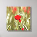 Pesquisar por papoilas impressão de canvas Vermelho