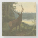 Pesquisar por veado selvagem porta copos Alce