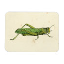 Pesquisar por o visual imas Creme