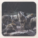 Pesquisar por wolf porta copos Vida selvagem