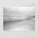 Pesquisar por surf cartoes postais Ondas