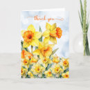 Pesquisar por do daffodil cartoes Narcisos
