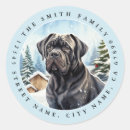 Pesquisar por cane corso adesivos Natal