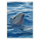 Pesquisar por golfinho bonito cartoes postais Peixes