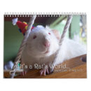 Pesquisar por rato do calendário Ratos
