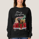 Pesquisar por christmas moletons com capuz Melhor venda