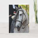 Pesquisar por andaluz cartoes Lusitano