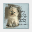 Pesquisar por ragdoll imas Gatinho