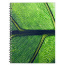 Pesquisar por macro fotografia Natureza