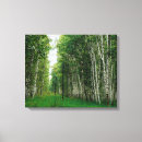 Pesquisar por paisagem impressão de canvas Botânica