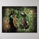 Pesquisar por debaixo pôsteres pósteres Fotografia