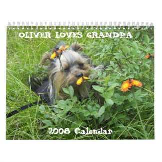 000_0011, OLIVER AMA o VOVÔ, calendário 2008