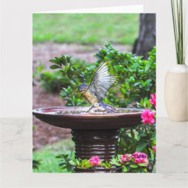 030 resíduo metálico grande do cartão 8.5x11 do