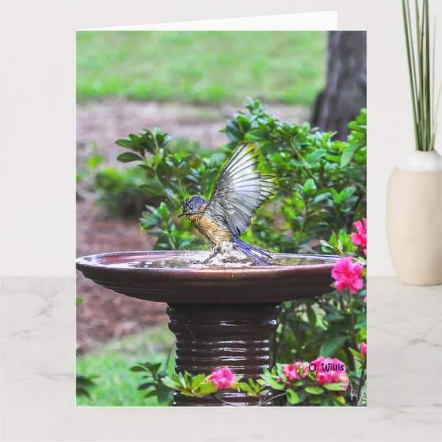 030 resíduo metálico grande do cartão 8.5x11 do (Frente)