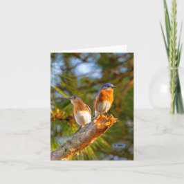 040 resíduo metálico do cartão de nota 4.25x5.5 do