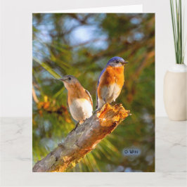 040 resíduo metálico grande do cartão 8.5x11 do