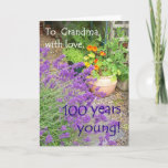 100th Cartão de aniversário para a avó - flores<br><div class="desc">Um 100th cartão de aniversário para uma avó,  com uma foto de um jardim com lavanda e chagas por Judy Adamson. Sinta por favor livre personalizar o texto interno e se você gostaria de uma mudança ao texto da capa,  apenas contacte-me através de minha loja.</div>