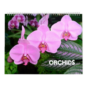 12 meses Calendário das orquídeas