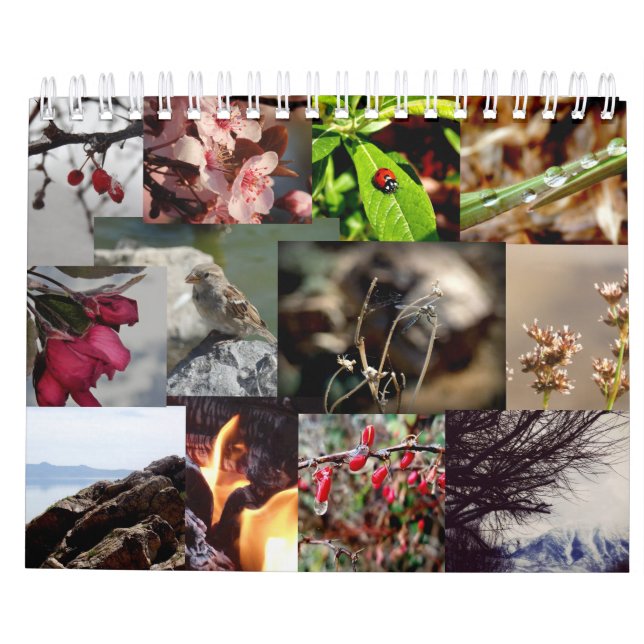 12 meses calendário holandês/holandês do ano (Verso)