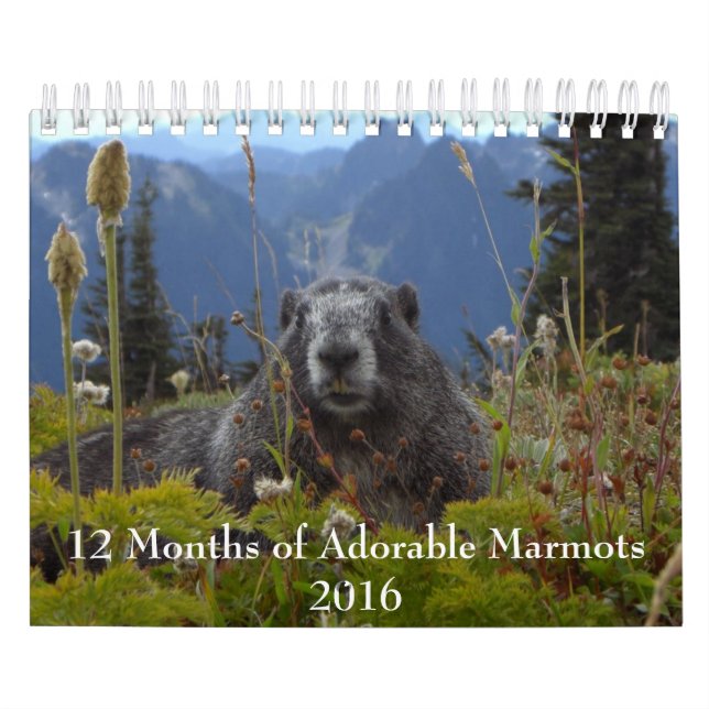 12 Meses de Calendário Adorável para 2016 (Capa)