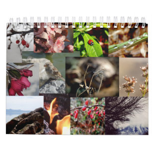 12 meses do calendário de Nova Zelândia do ano
