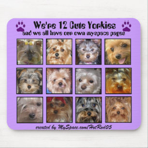 12 YORKIES BONITOS - Mousepad personalizado